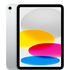 11-inch iPad Wi-Fi + Cellular 256GB - Silver